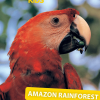 Tonies National Geographic Kids: Amazon Rainforest Tonie