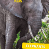 Tonies National Geographic Kids: Elephants Tonie